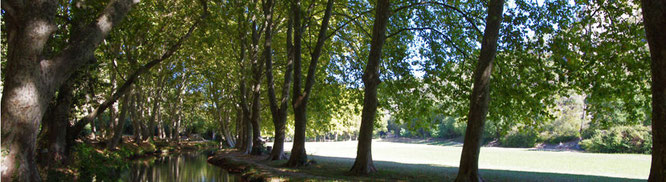 image (1)